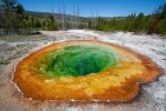 Morning Glory Thermal Pool in Yellowstone National Park
